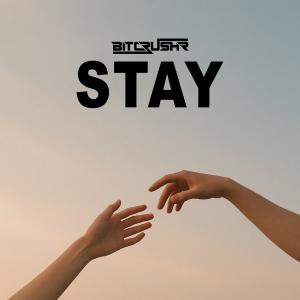 BITCRUSHR — Stay cover art