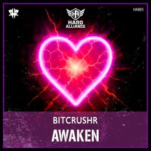 BITCRUSHR — Awaken cover art